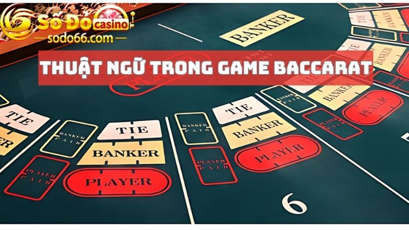 Hệ thống thuật ngữ phổ biến trong game bài baccarat 