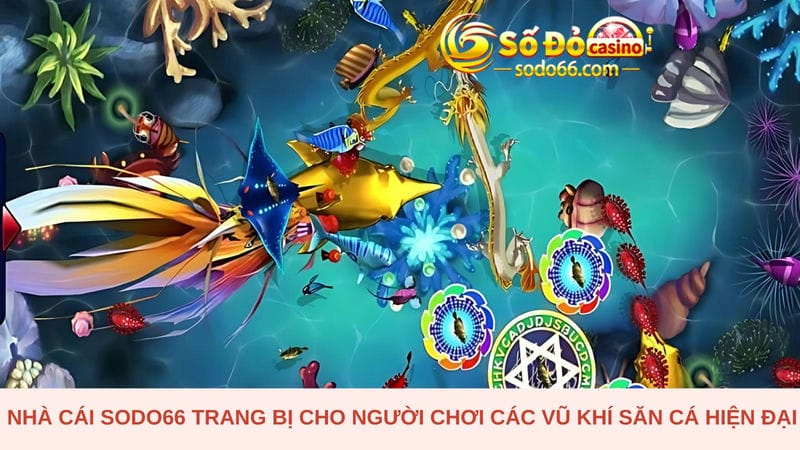 Nhà cái Sodo66 trang bị vũ khí săn cá hiện đại 