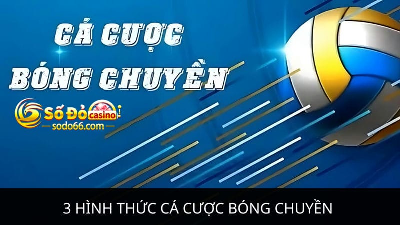 cá cược bóng chuyền được chơi nhiều nhất tại Sodo66