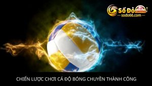 cá độ bóng chuyền thành công