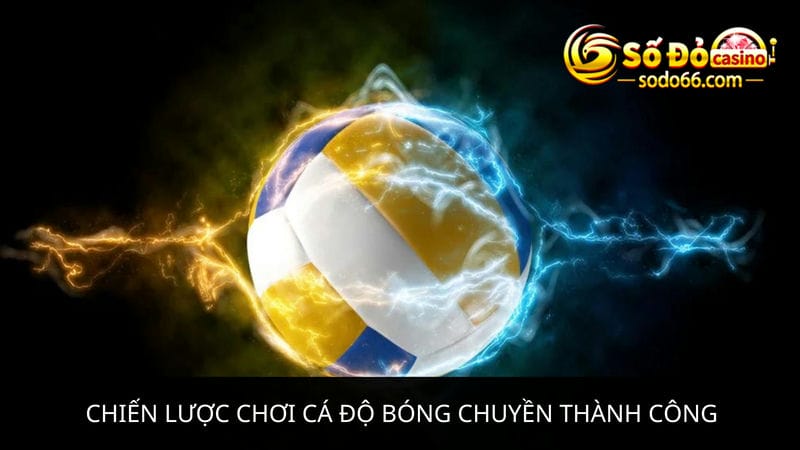 cá độ bóng chuyền thành công