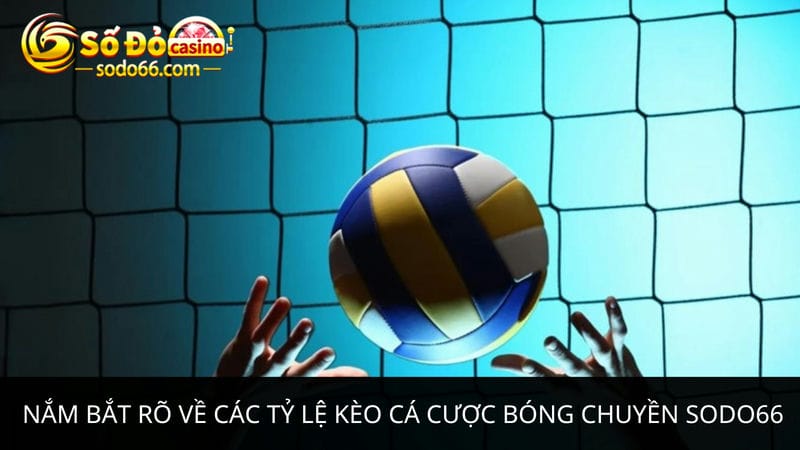  tỷ lệ kèo cá cược bóng chuyền Sodo66