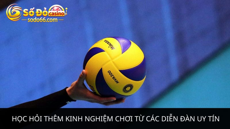  kinh nghiệm chơi kèo bóng chuyền từ các diễn đàn uy tín