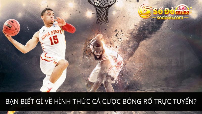 cá cược bóng rổ trực tuyến