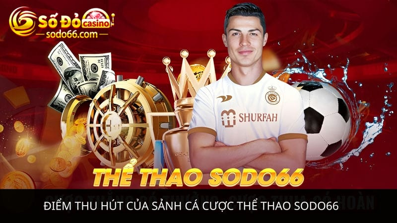 sảnh cá cược thể thao Sodo66