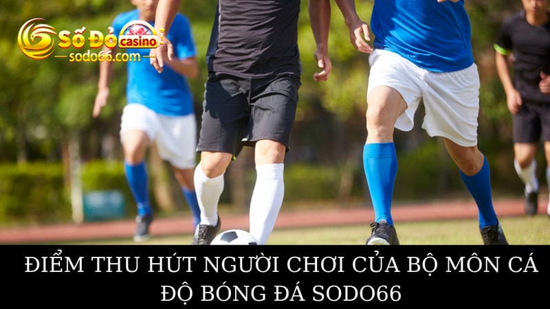 bộ môn cá độ bóng đá Sodo66