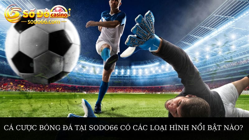 Cá cược bóng đá tại Sodo66 có các loại hình nào