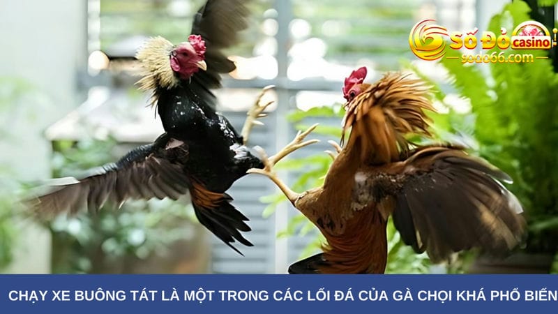 Chạy xe buông tát 