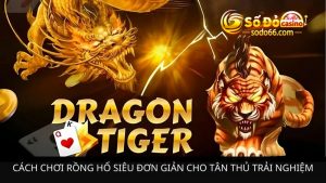 Cách chơi Rồng Hổ siêu đơn giản