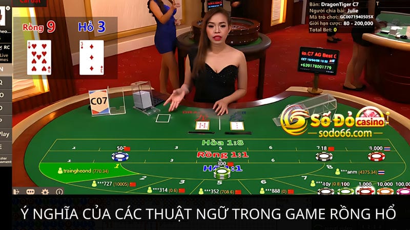  thuật ngữ trong game Rồng Hổ