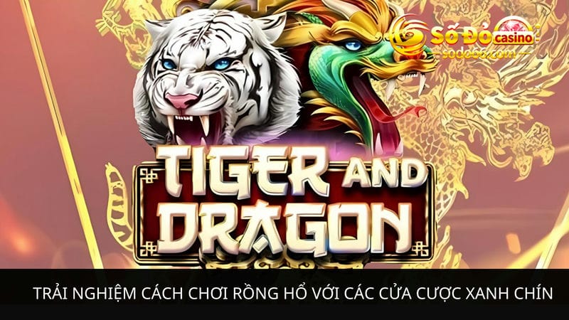 Trải nghiệm cách chơi Rồng Hổ