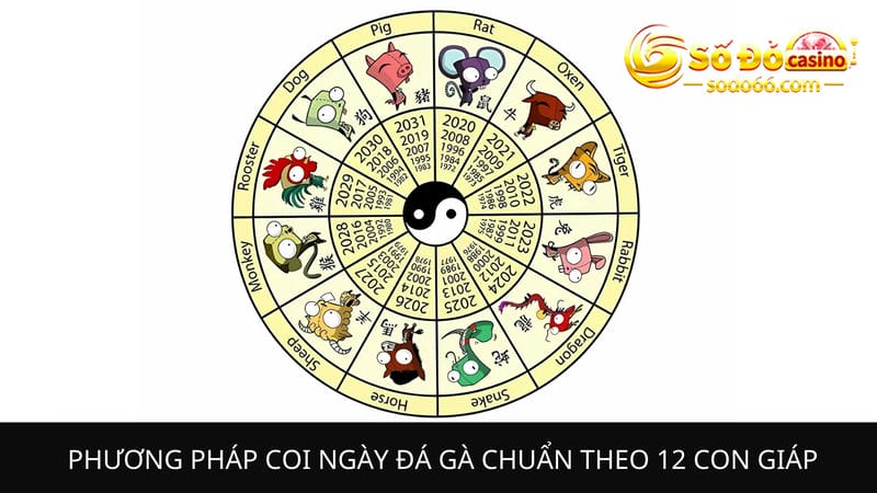 Phương pháp coi ngày đá gà chuẩn 