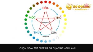 Chọn ngày tốt chơi đá gà