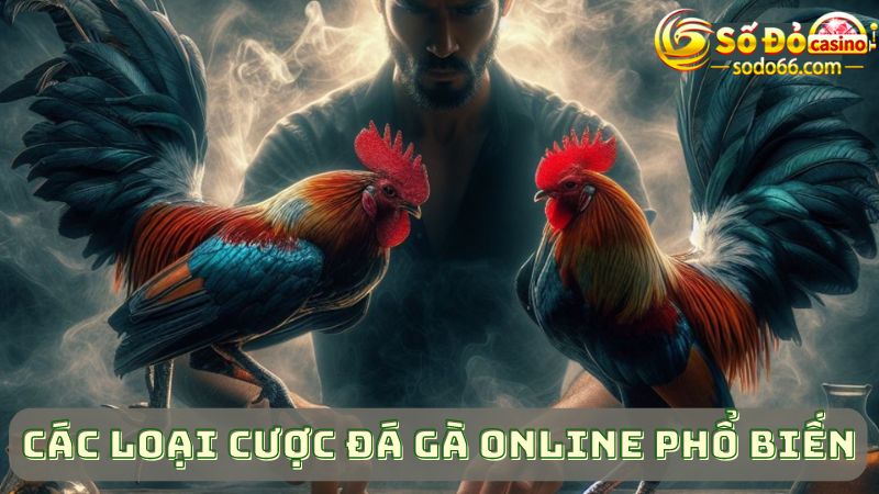 Các loại cược chuyên dùng khi đặt cược đá gà online