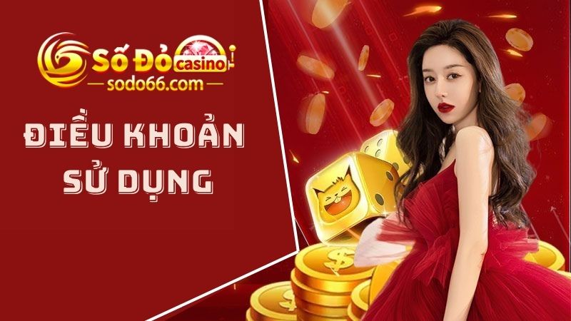 Phổ biến điều khoản, điều kiện khi sử dụng tại Sodo66 