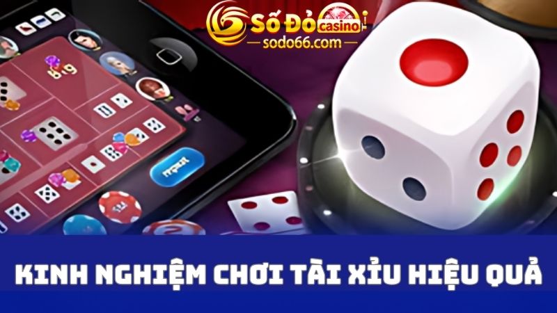 Áp dụng kinh nghiệm chơi hiệu quả từ chuyên gia 