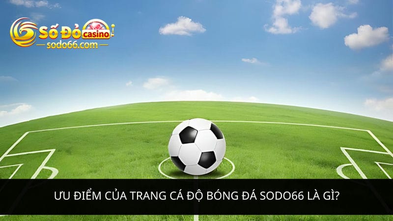 trang cá độ bóng đá Sodo66 là gì?