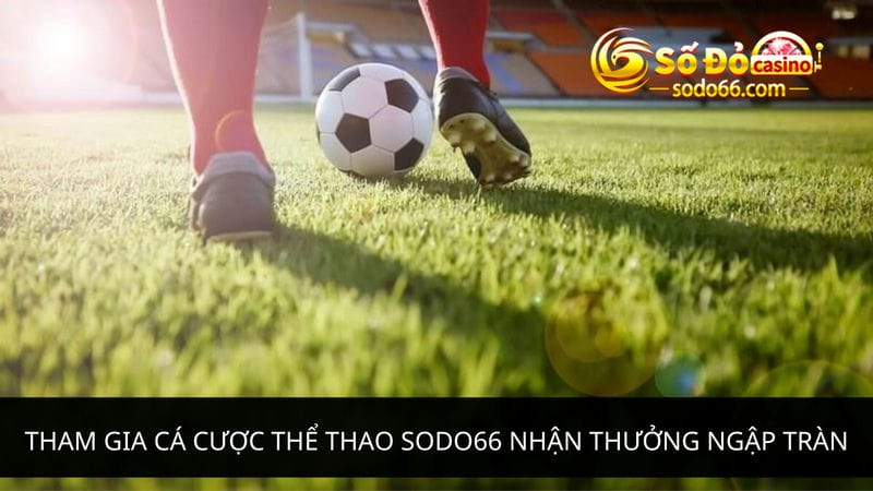 Tham gia cá cược thể thao Sodo66 